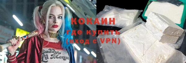 прущие грибы Пролетарск