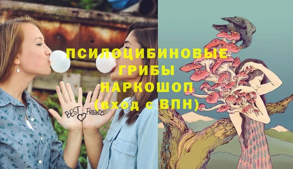 a pvp Абаза