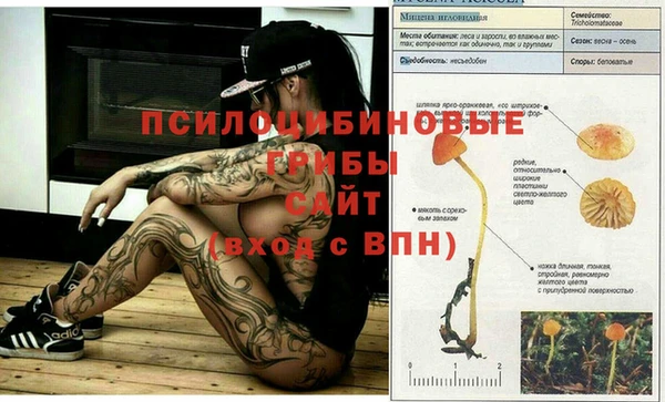 марки lsd Абинск