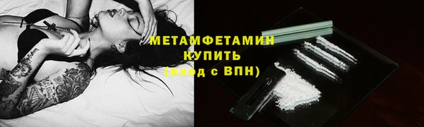 прущие грибы Пролетарск