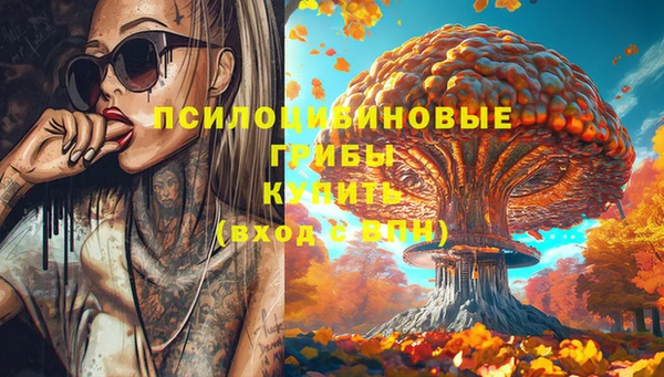 гидропоника Приозерск