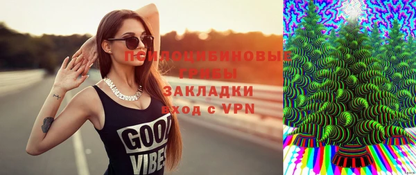 мяу мяу мука Абдулино