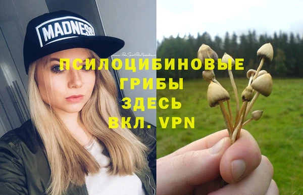 гидропоника Приозерск
