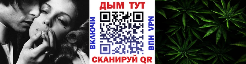 KRAKEN ONION  Кириллов  Шишки марихуана ГИДРОПОН 